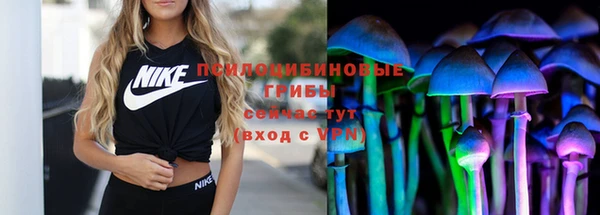 гашик Богородицк