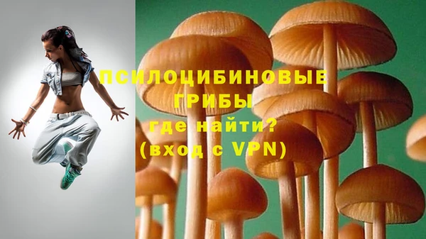 гашик Богородицк